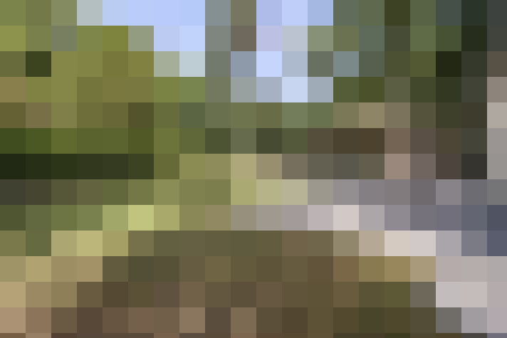  / #15