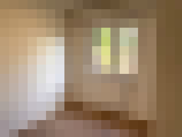  / #11