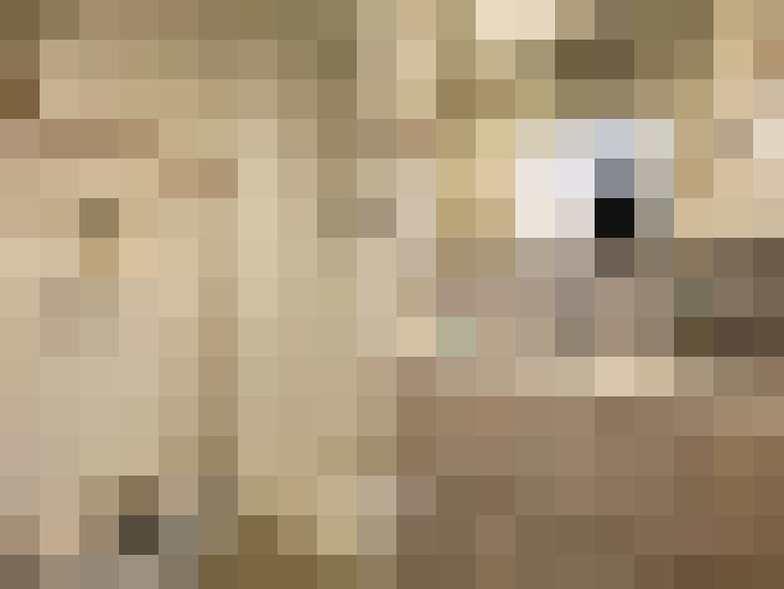  / #16