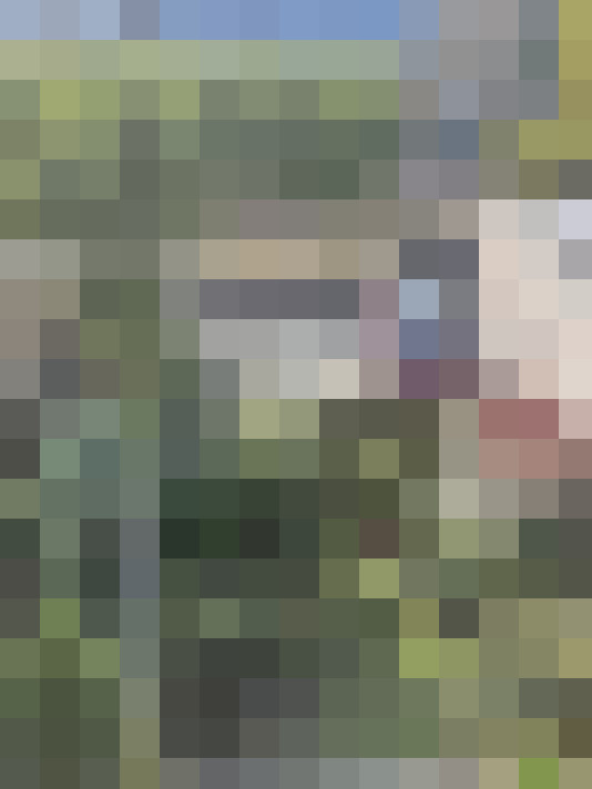  / #14