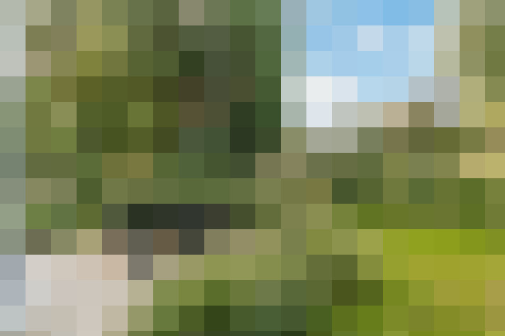  / #16