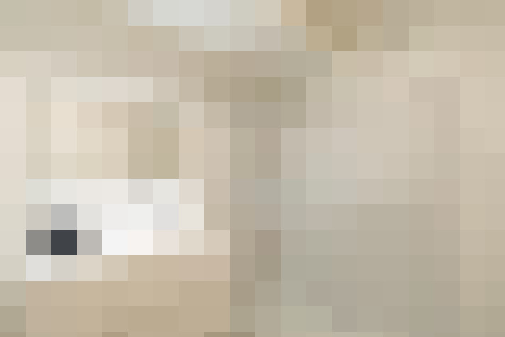  / #17