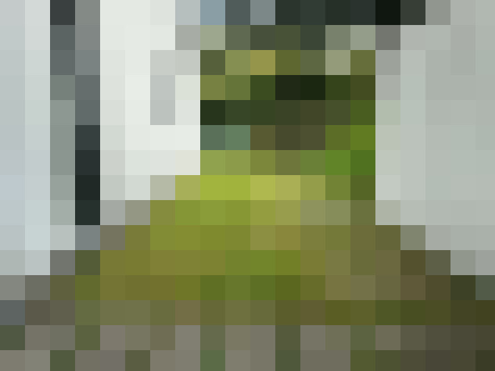  / #18