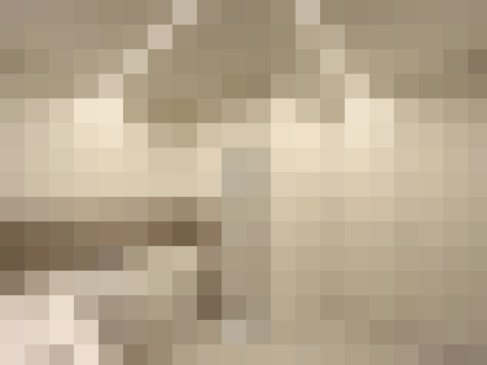  / #15