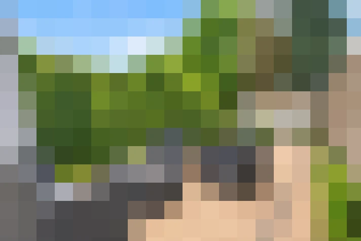  / #13