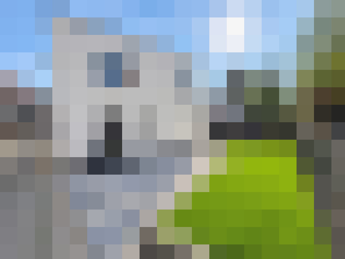  / #20