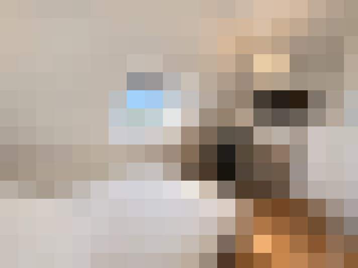  / #16