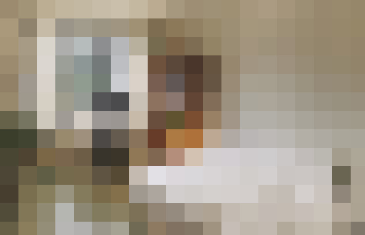  / #14