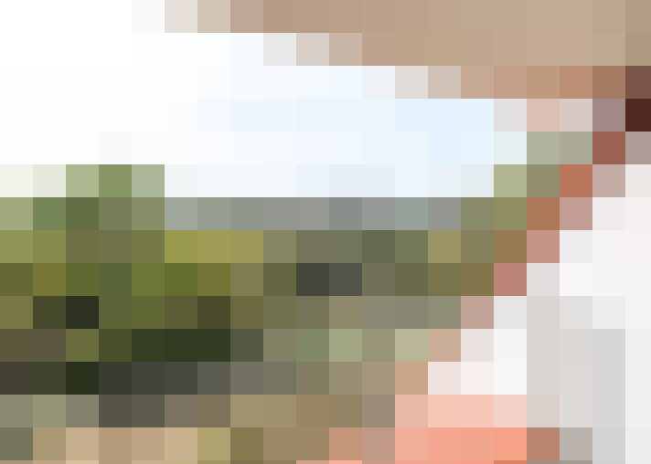  / #15