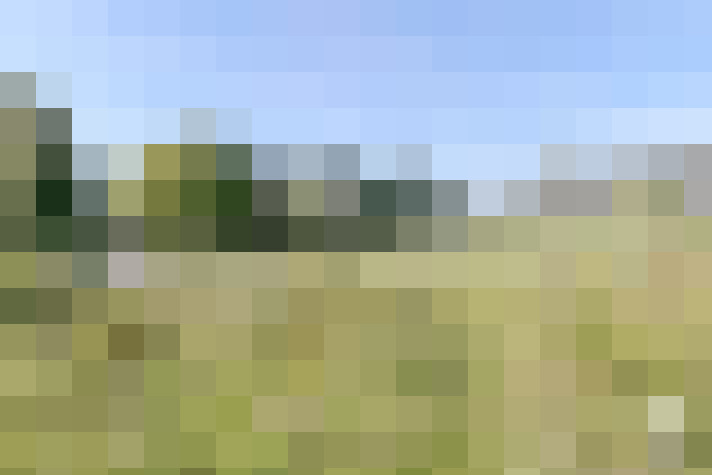  / #16