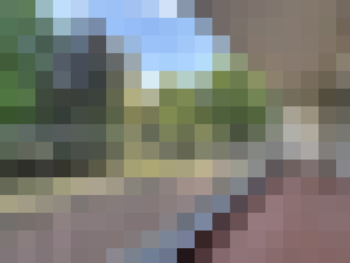  / #16