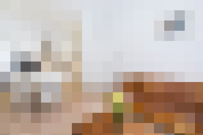  / #14