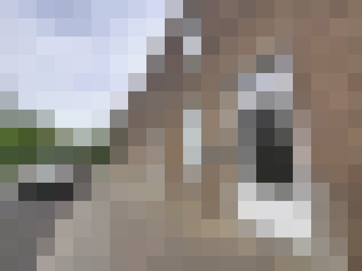  / #17