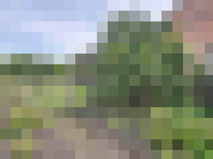  / #13