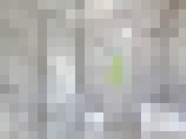  / #20