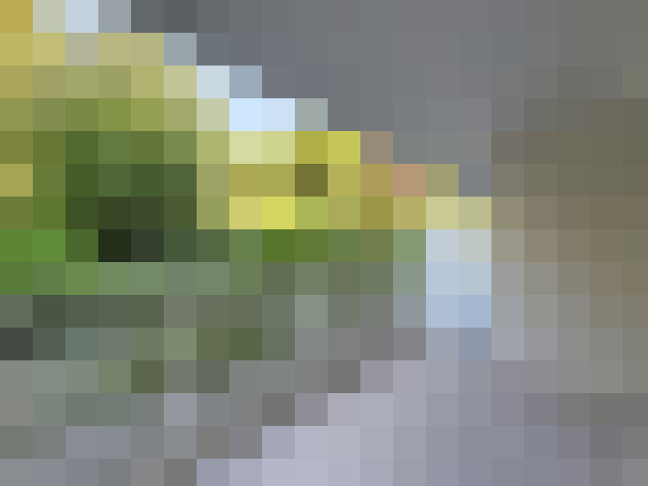  / #16
