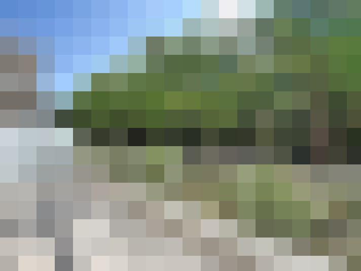  / #23