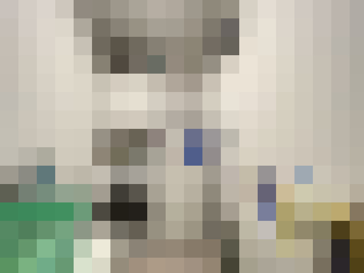  / #11