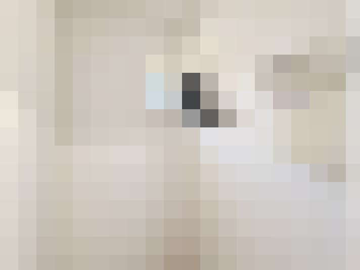  / #22