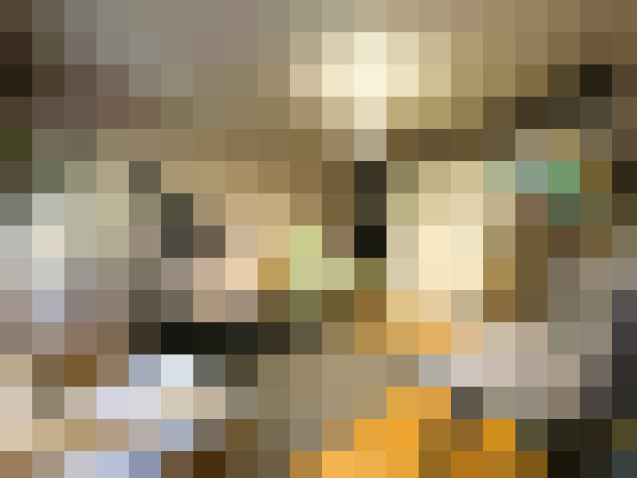  / #15