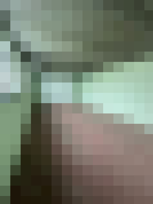  / #20