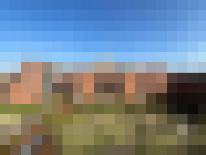  / #16