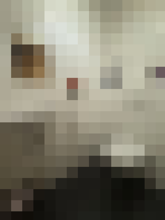  / #15