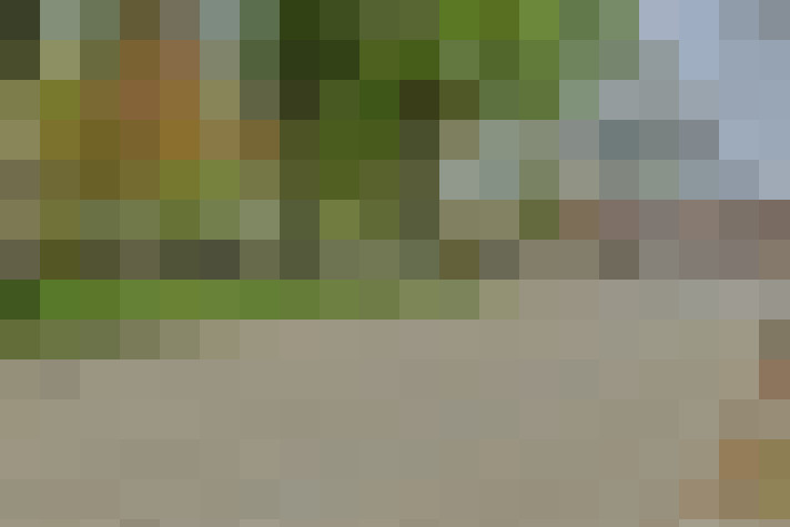  / #14