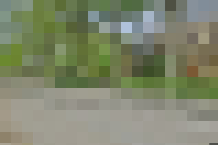  / #15