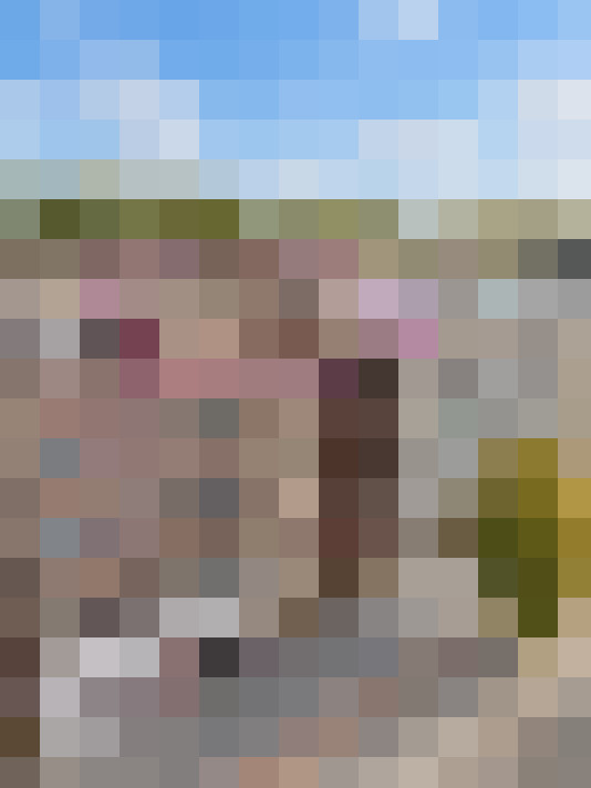  / #15