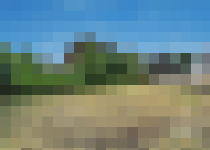  / #6