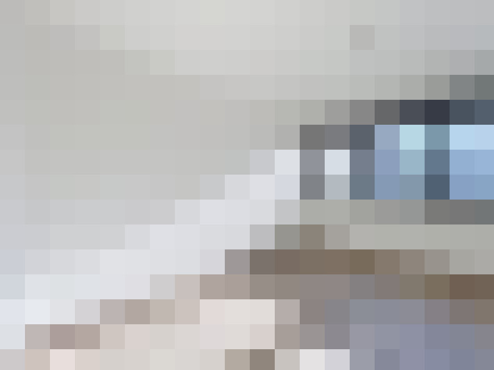  / #16