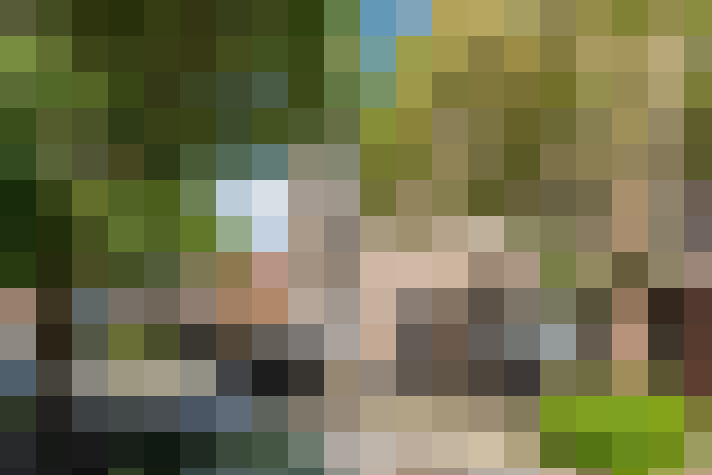  / #20