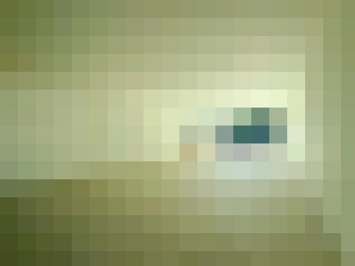  / #7