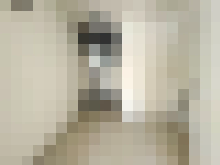  / #21