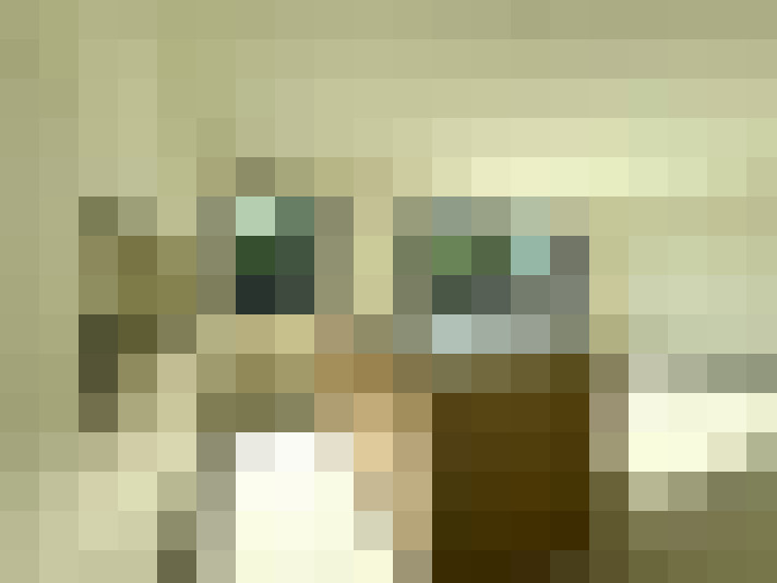  / #18
