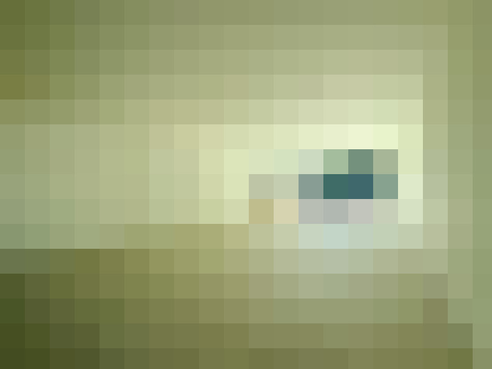  / #8