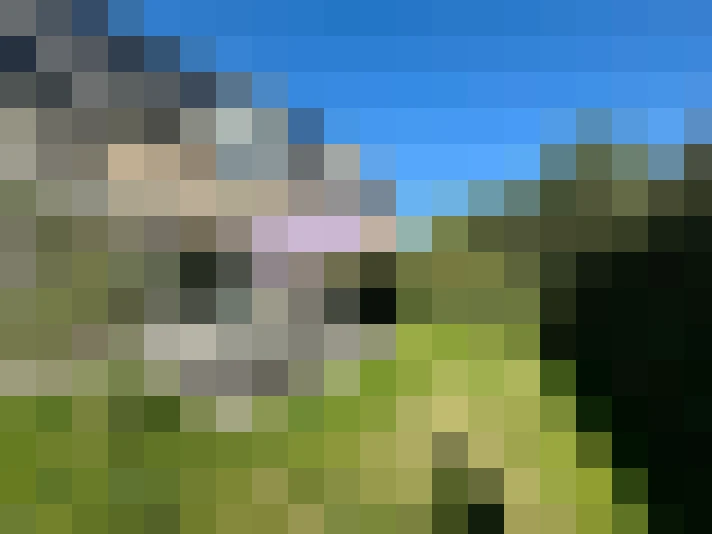  / #33