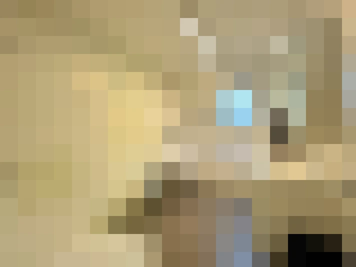  / #29