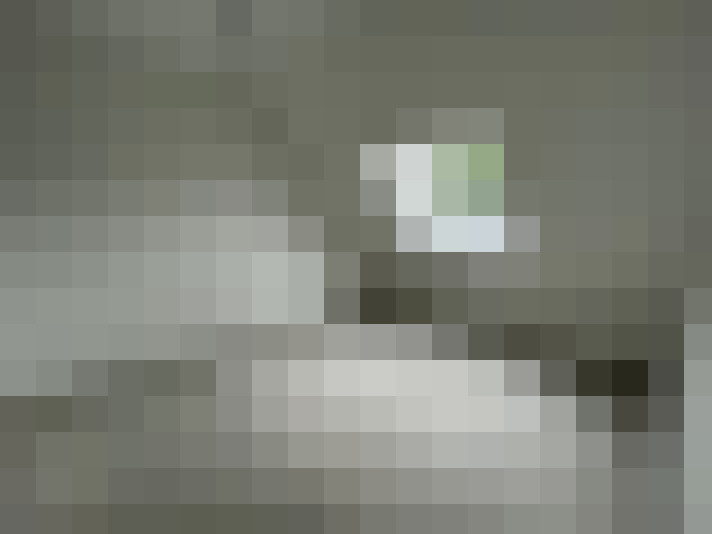  / #20
