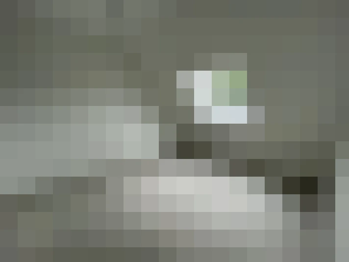  / #19