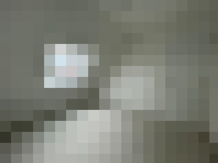  / #22