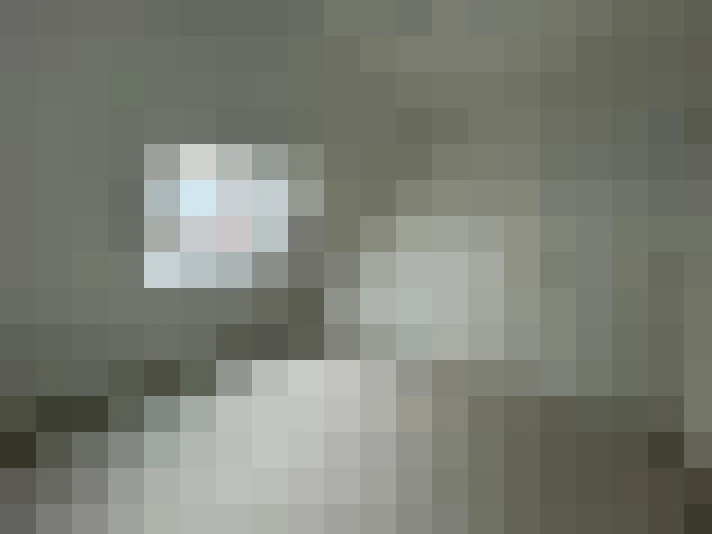  / #21