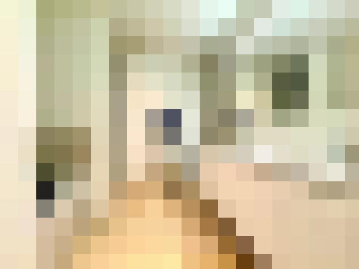  / #23