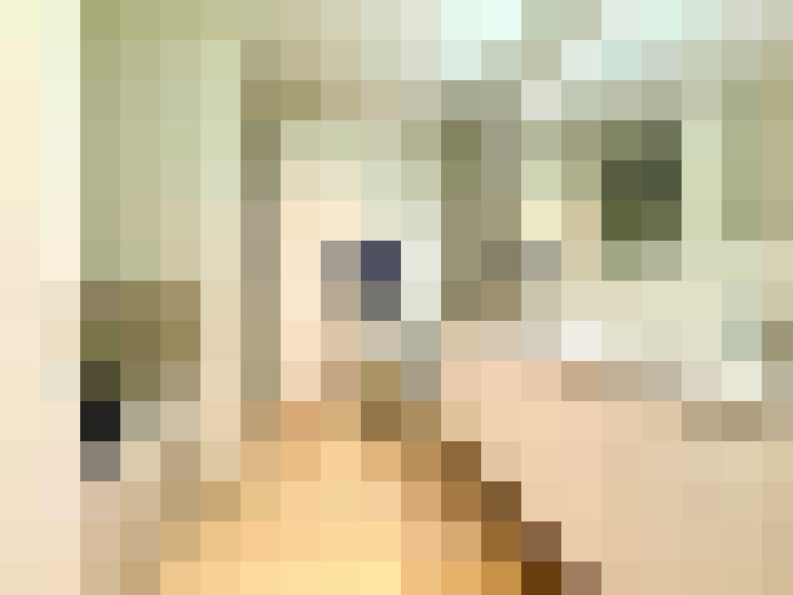  / #24