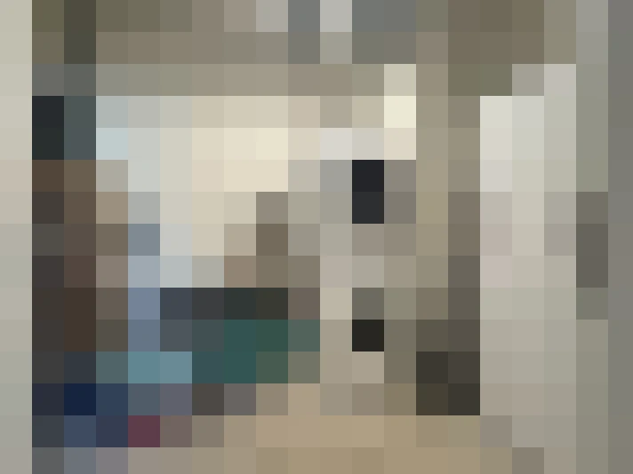  / #13