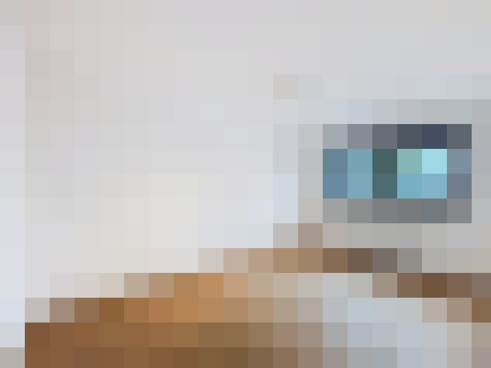  / #8