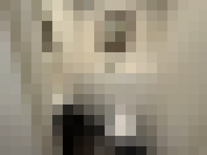  / #13