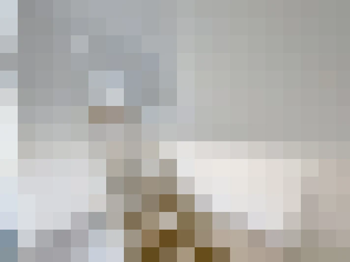  / #7