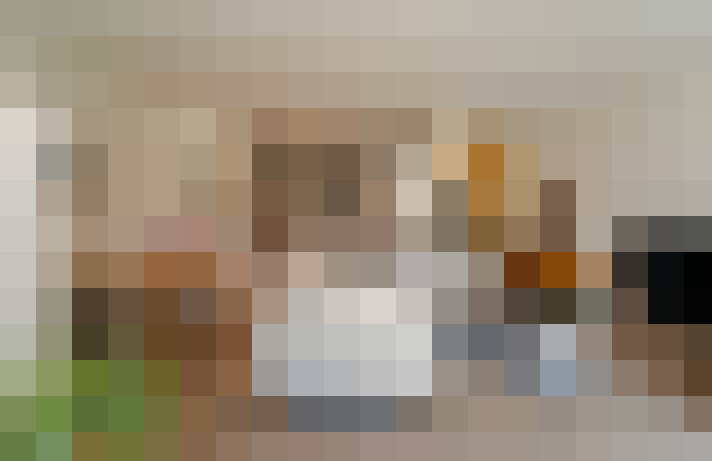  / #20